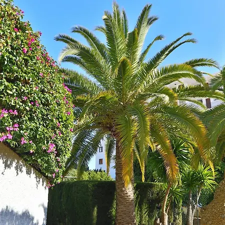 Verano Azul, Apartamento